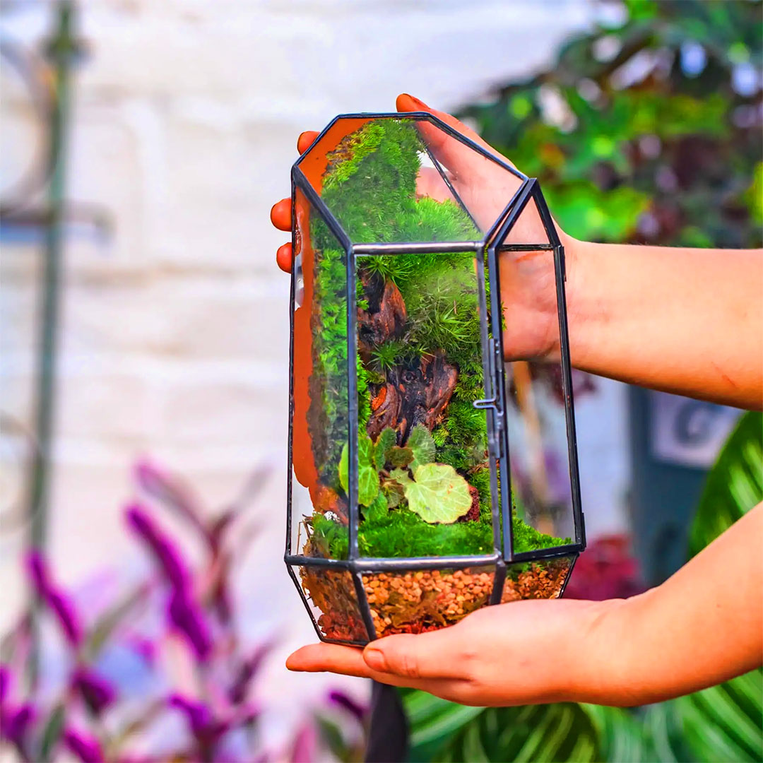 Various-Design-Flowers-artificial-wedding-metal-rose-gold-copper-glass-plant-terrarium-geometric-1